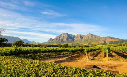 Stellenbosch Vineyards A Découvrir en Afrique du Sus - Winelands