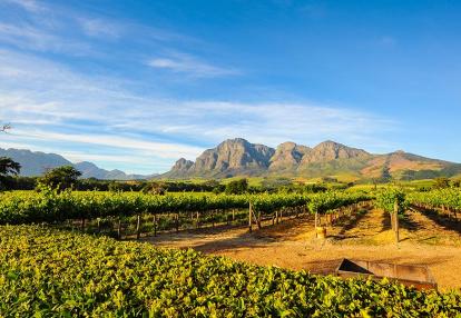 A Découvrir en Afrique du Sus - Winelands