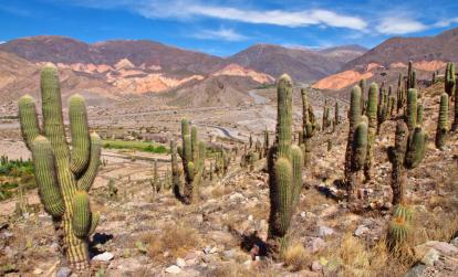 A Découvrir en Argentine - Quebrada de Humahuaca