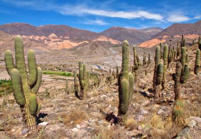 A Découvrir en Argentine - Quebrada de Humahuaca