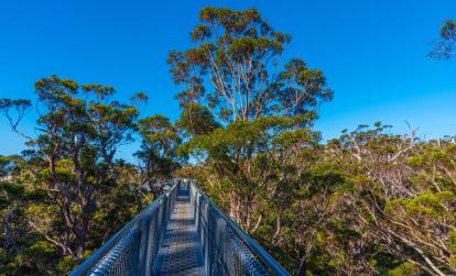 La Vallée des Géants A Découvrir en Australie - La Vallée des Géants
