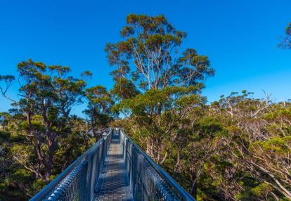 A Découvrir en Australie - La Vallée des Géants
