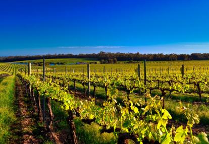 A Découvrir en Australie - Margaret River