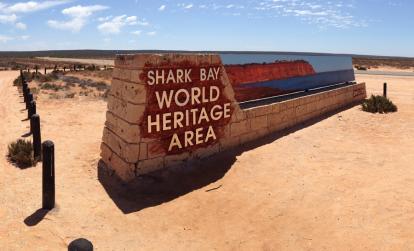 Shark Bay A Découvrir en Australie - Shark Bay