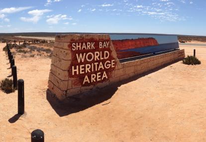 A Découvrir en Australie - Shark Bay