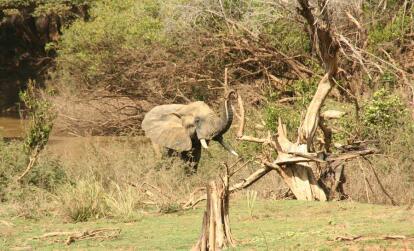 A Découvrir au Bénin - Le Parc de la Pendjari