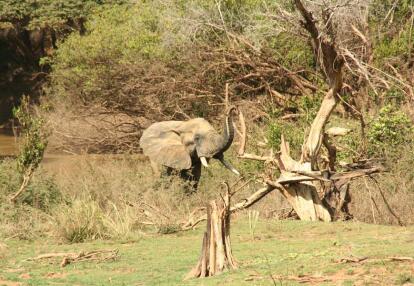 A Découvrir au Bénin - Le Parc de la Pendjari