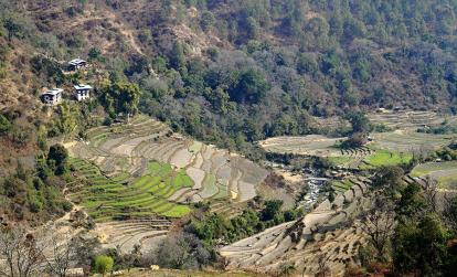 A Découvrir au Bhoutan - La Vallée de Wangdiphodrang