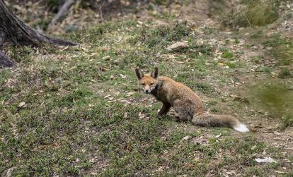 A Découvrir au Bhoutan - Le Sakteng Wildlife Sanctuary