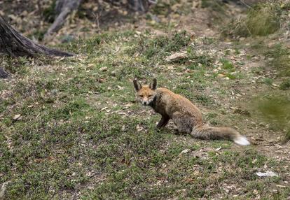 A Découvrir au Bhoutan - Le Sakteng Wildlife Sanctuary