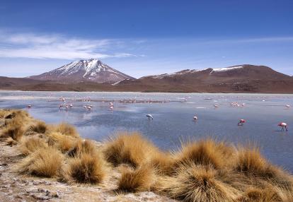A Découvrir en Bolivie - Le Lipez
