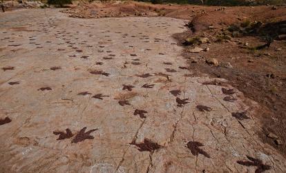 Parc national de Torotoro - De vraies empreintes de dinosaures A Découvrir en Bolivie - Le Parc de Torotoro