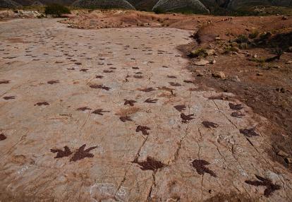A Découvrir en Bolivie - Le Parc de Torotoro