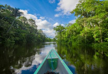 A Découvrir au Brésil - L’Amazonie