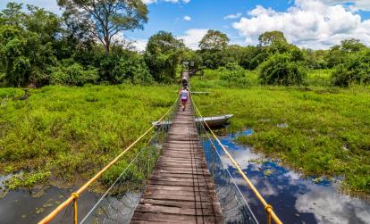Pantanal A Découvrir au Brésil - Le Pantanal