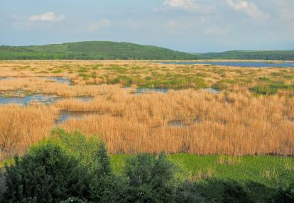 A Découvrir en Bulgarie - La Réserve Naturelle de Srébarna