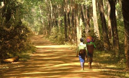 Ratanakiri A Découvrir au Cambodge - La Région du Ratanakiri