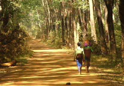 A Découvrir au Cambodge - La Région du Ratanakiri