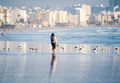 A Découvrir au Chili - La Serena
