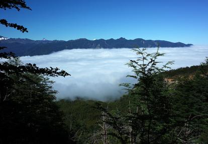 A Découvrir au Chili - Le Parc National Puyehue
