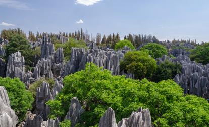 Kunming - Stone Forest in Shilin A Découvrir en Chine - La Forêt de Pierre de Shilin