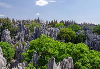A Découvrir en Chine - La Forêt de Pierre de Shilin