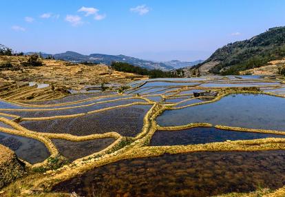 A Découvrir en Chine - Les Rizières de Yuanyang