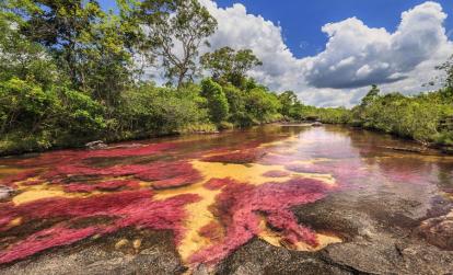 Cano Canales A découvrir en Colombie - Caño Cristales