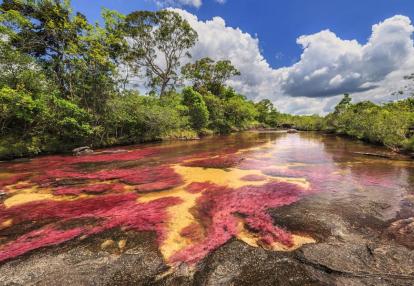 A découvrir en Colombie - Caño Cristales