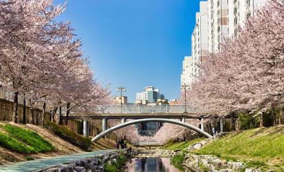 A Découvrir en Corée du Sud -  Ulsan