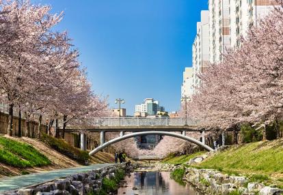 A Découvrir en Corée du Sud -  Ulsan