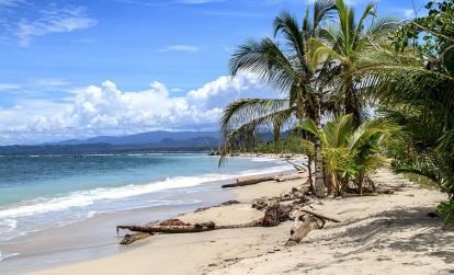A Découvrir au Costa Rica - Cahuita & Puerto Viejo