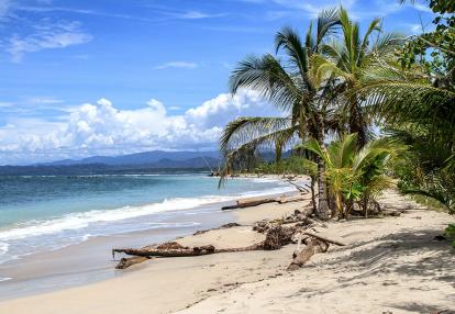 A Découvrir au Costa Rica - Cahuita & Puerto Viejo