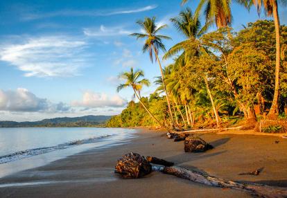 A Découvrir au Costa Rica - La Péninsule de Osa