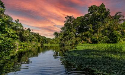 Tortuguero A Découvrir au Costa Rica - Parc National de Tortuguero