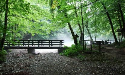A Découvrir en Croatie - Le Parc national de Risnjak