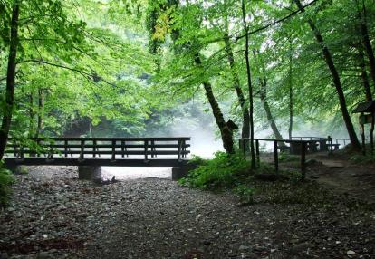 A Découvrir en Croatie - Le Parc national de Risnjak