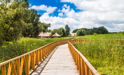 Parc naturel de Kopački Rit A Découvrir en Croatie - Le Parc de Kopacki Ri