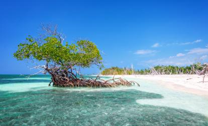 Cayo levisa A Découvrir à Cuba - Cayo Levisa