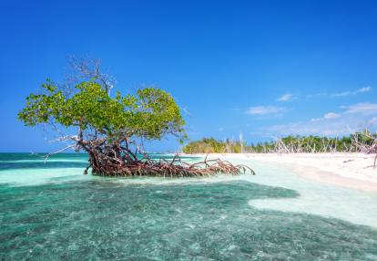 A Découvrir à Cuba - Cayo Levisa