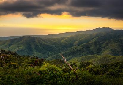 Topes de Collantes NP A Découvrir à Cuba - Topes de Collantes
