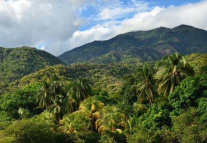 Pico Turquino A Découvrir à Cuba - Le Pico Turquino