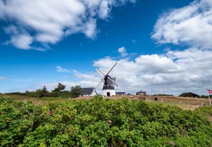 A Découvrir au Danemark - Mando