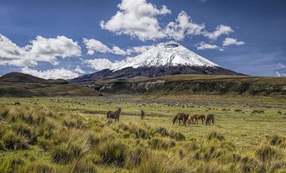 Cotopaxi A Découvrir en Equateur - Volcans Cotopaxi & Chimborazo