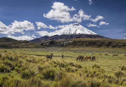 A Découvrir en Equateur - Volcans Cotopaxi & Chimborazo