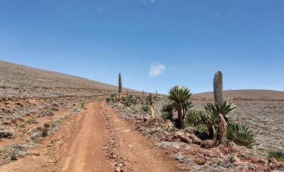 Parc National de Balé A Découvrir en Ethiopie - Le Parc National de Balé