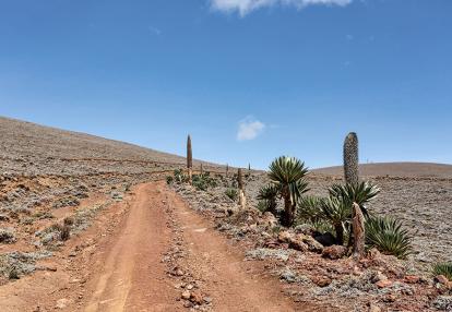 A Découvrir en Ethiopie - Le Parc National de Balé