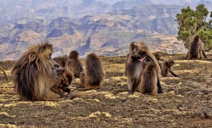 Parc national du Simien A Découvrir en Ethiopie - Le Parc national du Simien