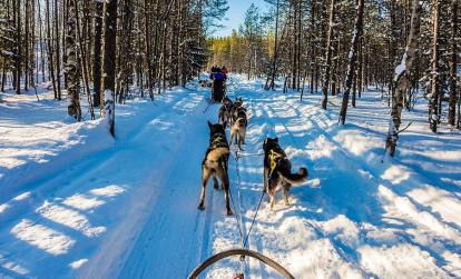 Laponie - safari Husky A Découvrir en Finalande - La Laponie finlandaise