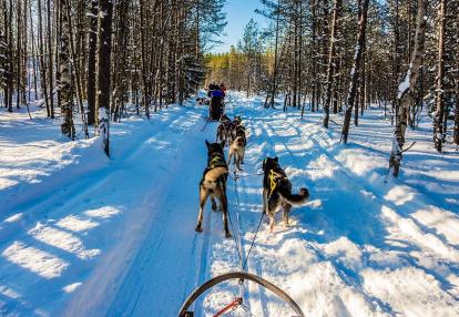 A Découvrir en Finalande - La Laponie finlandaise